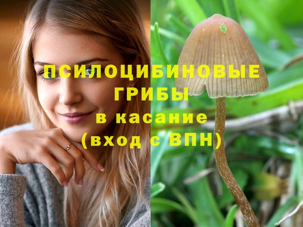 apvp Майский