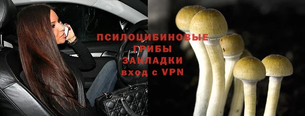 не бодяженный Абаза