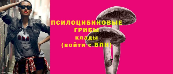 не бодяженный Абаза