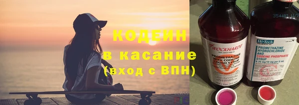 крисы Магас