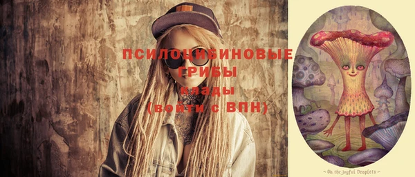 шишки Абинск