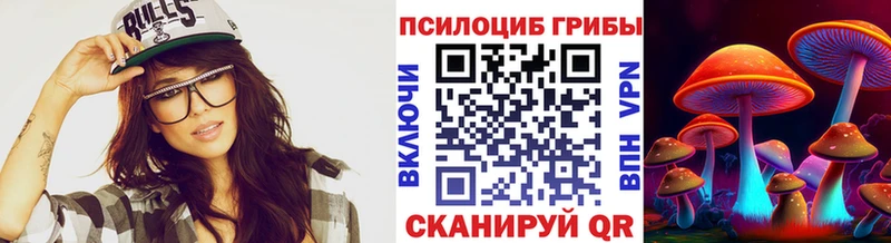 Псилоцибиновые грибы Cubensis купить закладку OMG ссылки Стерлитамак
