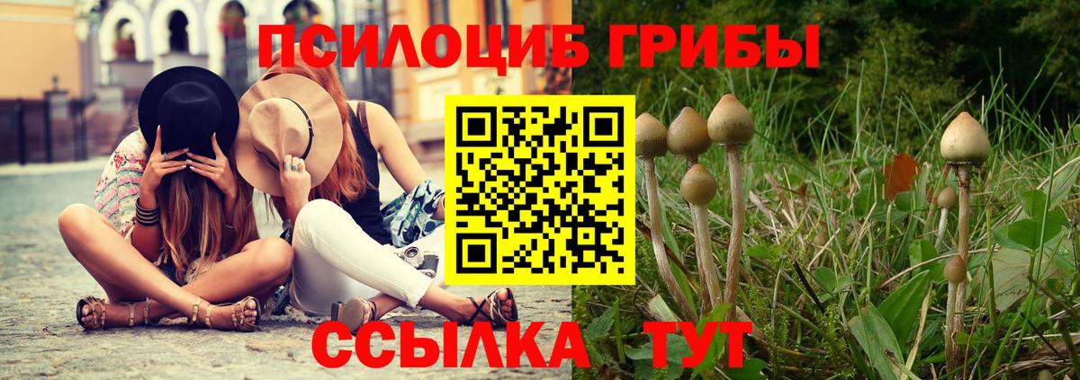 Псилоцибиновые грибы Psilocybine cubensis Стерлитамак