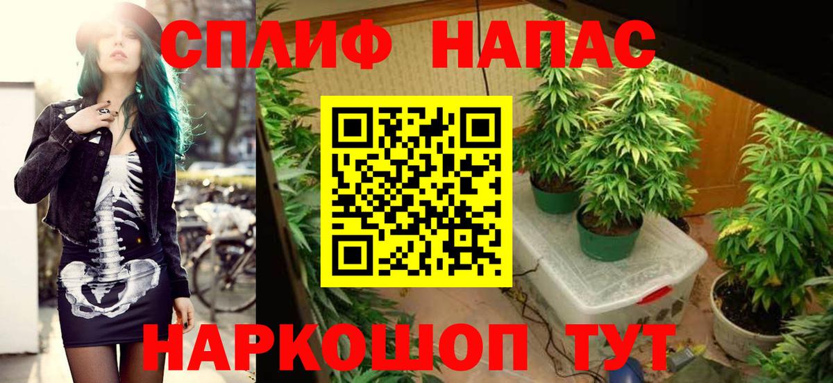 Стерлитамак  Бошки Шишки Bruce Banner  Каннабис тримм  Вход с VPN  Конопля планчик 